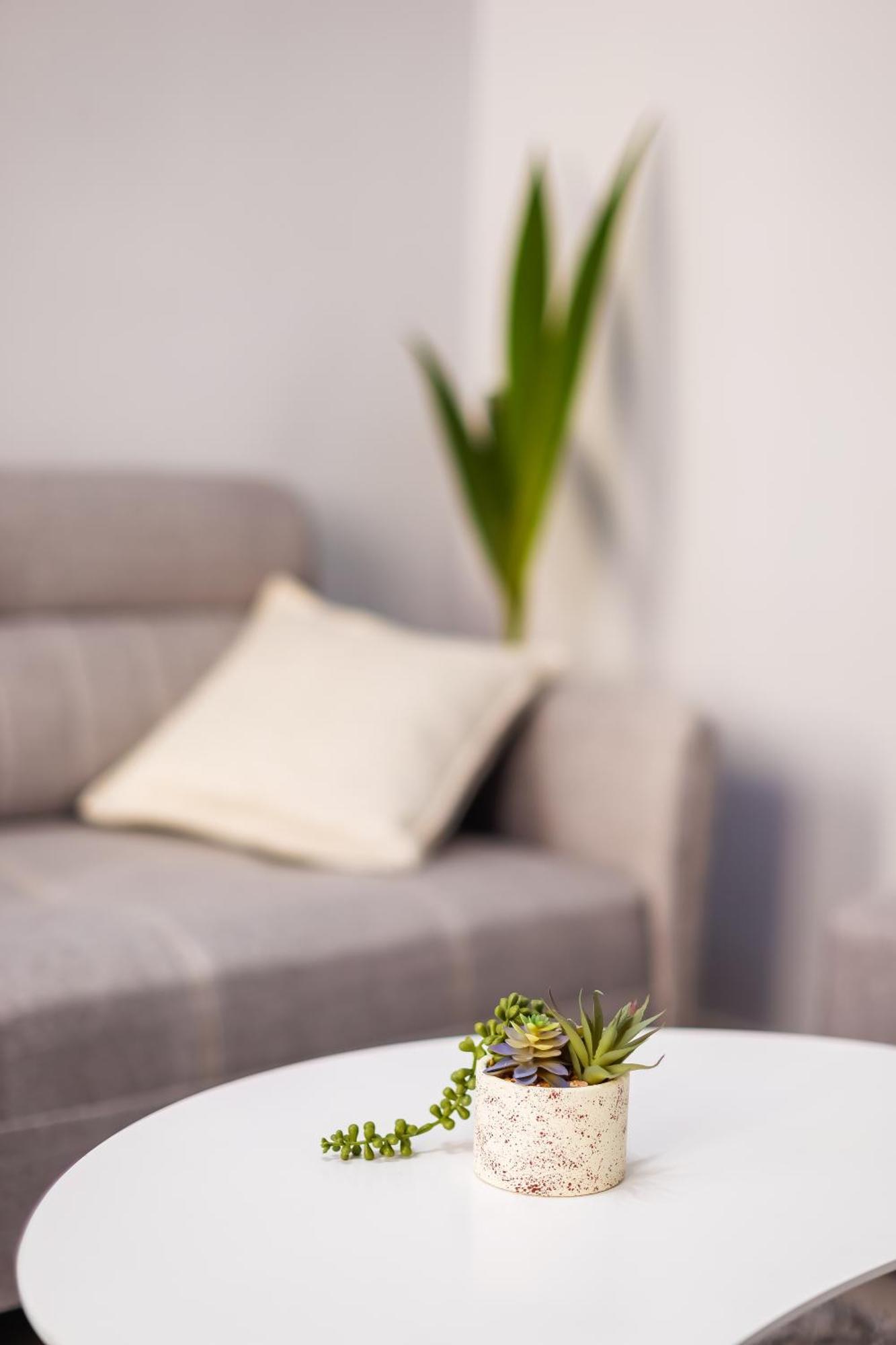 Viewpoint Central Apartment Tirana Bagian luar foto
